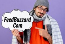 FeedBuzzard Com