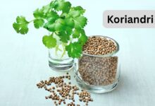 Koriandri