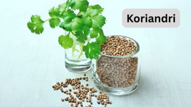 Koriandri