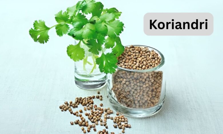 Koriandri